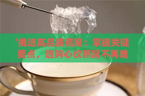 '挑选高品质燕窝：掌握关键要点，选购心仪燕窝不再难'