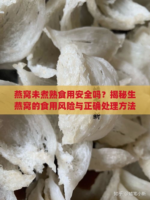 燕窝未煮熟食用安全吗？揭秘生燕窝的食用风险与正确处理方法