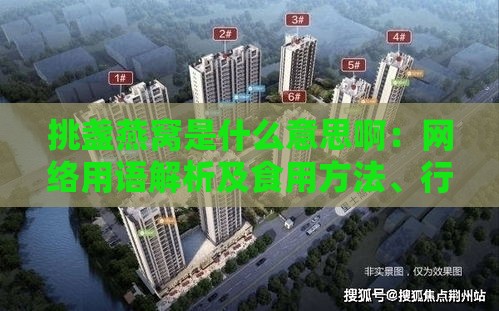 挑盏燕窝是什么意思啊：网络用语解析及食用方法、行业工作介绍