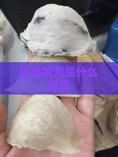 挑盏燕窝是什么意思