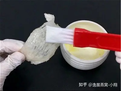 燕窝漂白剂用什么测