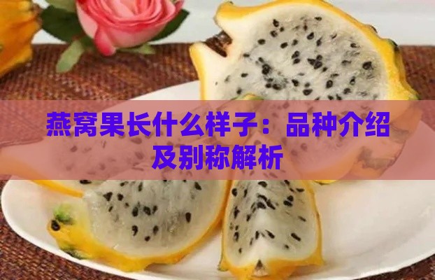 燕窝果长什么样子：品种介绍及别称解析