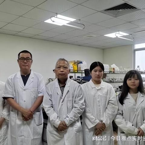 燕窝是什么样的材料做的：探究燕窝的组成与制作原料