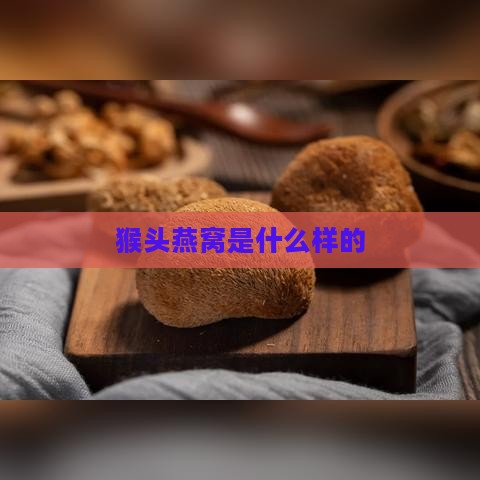 猴头燕窝是什么样的