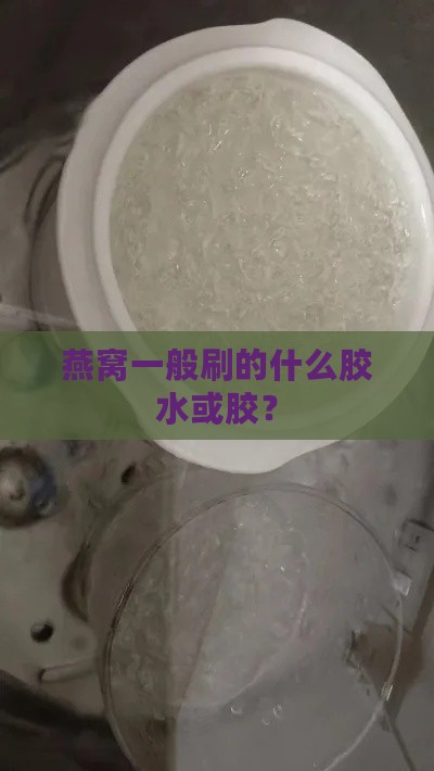 燕窝一般刷的什么胶水或胶？