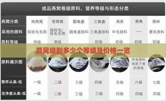 燕窝3s是什么意思，涵盖燕窝3s、3s燕窝等级、燕窝v3与3a含义解析