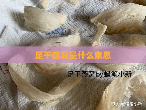 足干燕窝是什么意思