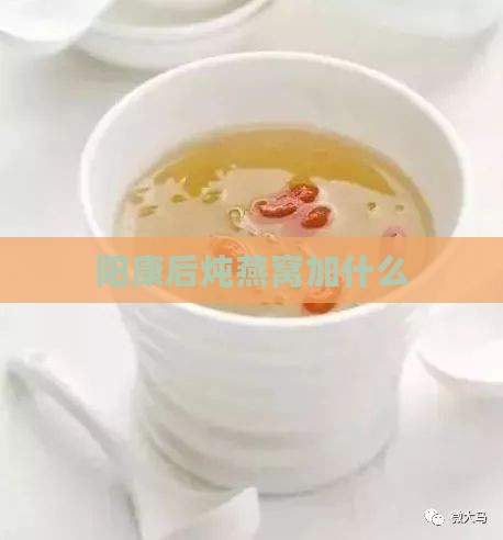 阳康后炖燕窝加什么