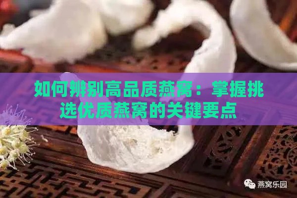 如何辨别高品质燕窝：掌握挑选优质燕窝的关键要点