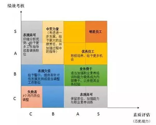 深度解析：如何挑选高品质燕窝——全面评估燕窝质量与营养价值指南