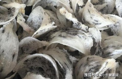 挑选优质燕窝的秘诀：如何判断燕窝品质的好坏