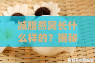 减脂燕窝长什么样的？揭秘其外观与减脂功效