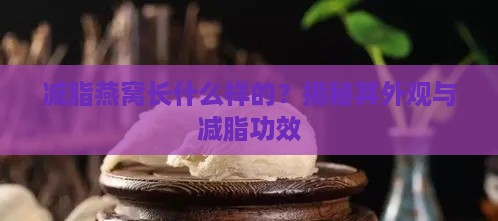 减脂燕窝长什么样的？揭秘其外观与减脂功效