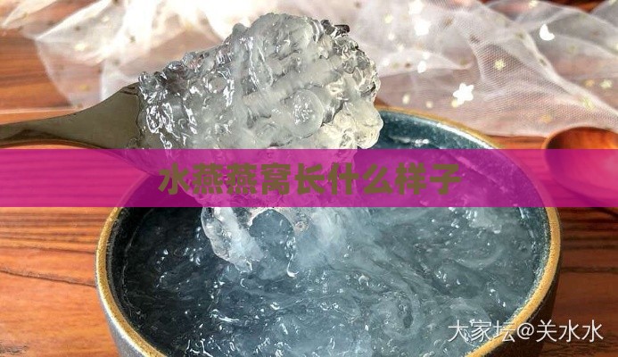 水燕燕窝长什么样子