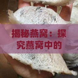 揭秘燕窝：探究燕窝中的杂质与粪便真相及其影响