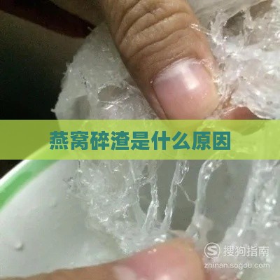 燕窝碎渣是什么原因