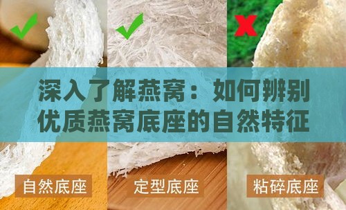 深入了解燕窝：如何辨别优质燕窝底座的自然特征与工艺特点