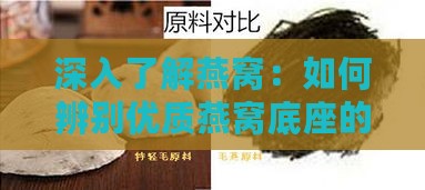 深入了解燕窝：如何辨别优质燕窝底座的自然特征与工艺特点