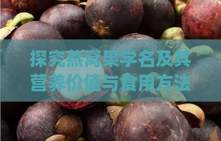 探究燕窝果学名及其营养价值与食用方法：全方位了解神秘果实