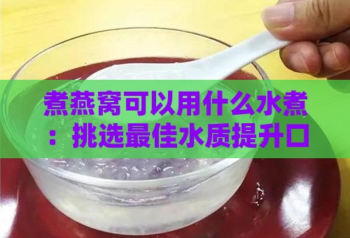 煮燕窝可以用什么水煮：挑选更佳水质提升口感与营养