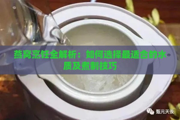 燕窝烹饪全解析：如何选择最适合的水质及煮制技巧