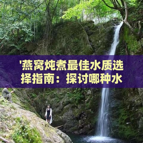 '燕窝炖煮更佳水质选择指南：探讨哪种水更适合炖煮燕窝'