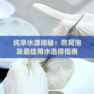 纯净水源揭秘：燕窝泡发更佳用水选择指南