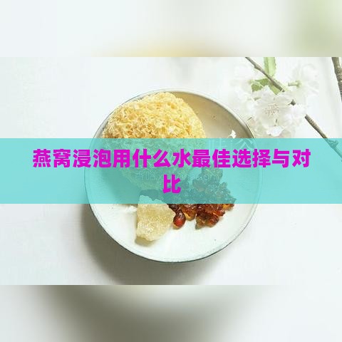 燕窝浸泡用什么水更佳选择与对比