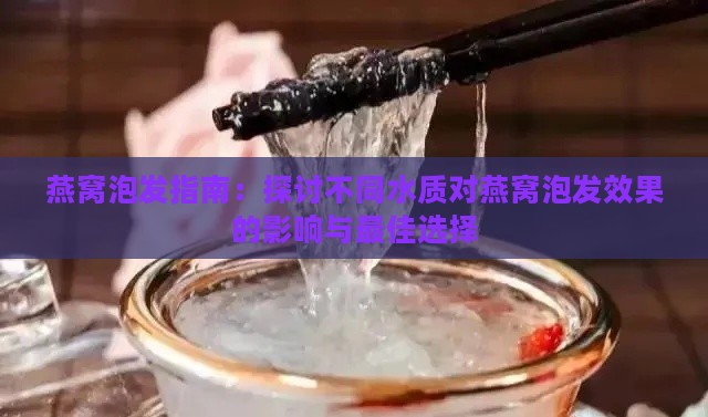 燕窝泡发指南：探讨不同水质对燕窝泡发效果的影响与更佳选择