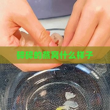 碎碎的燕窝什么样子