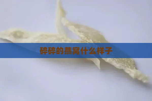 碎碎的燕窝什么样子