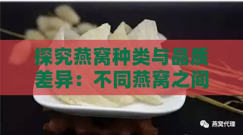 探究燕窝种类与品质差异：不同燕窝之间的区别解析