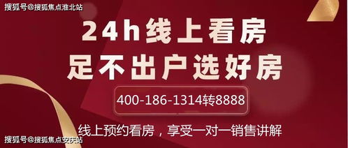 半挑燕窝是什么意思网络用语：全解析半干挑燕窝含义与用法