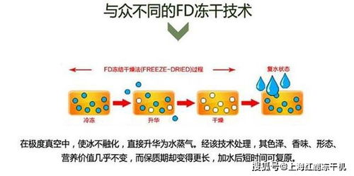 深度解析：干挑与半干挑燕窝的差异、工艺流程及营养价值对比