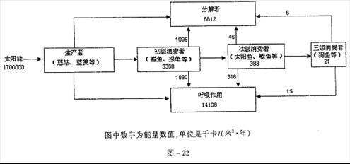 深度解析：干挑与半干挑燕窝的差异、工艺流程及营养价值对比