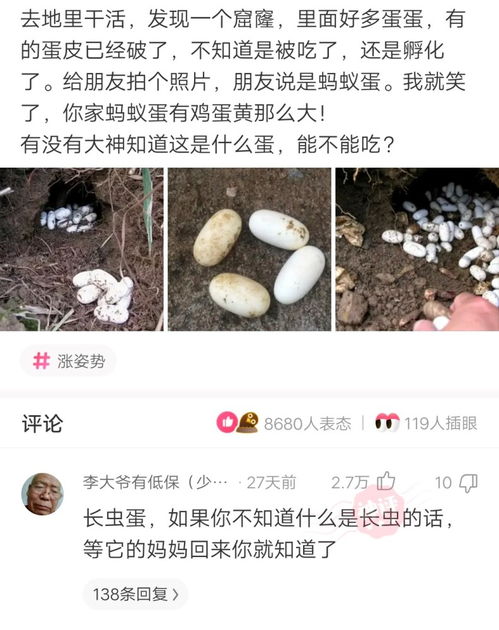 '揭秘燕窝5A等级背后的品质密码'