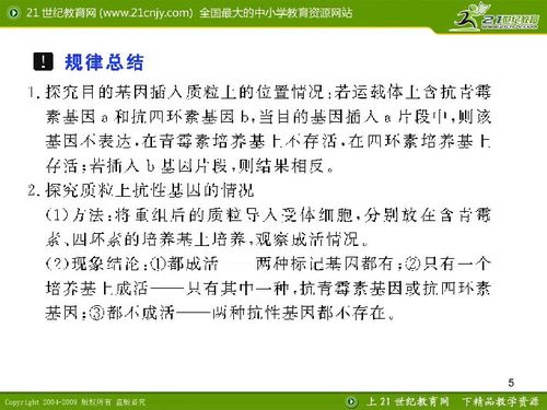 探究燕窝中加入琼脂的多种作用与好处：为何这么做及其对健康的影响