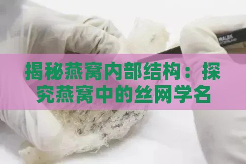 揭秘燕窝内部结构：探究燕窝中的丝网学名称谓