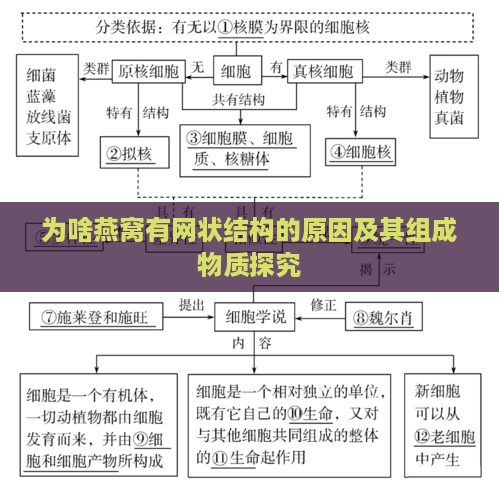 为啥燕窝有网状结构的原因及其组成物质探究