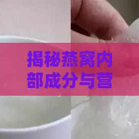 揭秘燕窝内部成分与营养价值