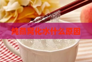 炖燕窝化水什么原因