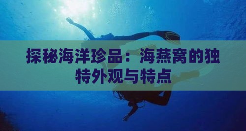 探秘海洋珍品：海燕窝的独特外观与特点