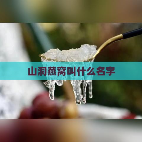 山洞燕窝叫什么名字