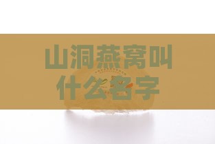 山洞燕窝叫什么名字