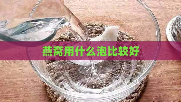 燕窝用什么泡比较好