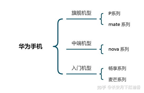 '探讨6A级与7A级燕窝品质差异及选购指南'