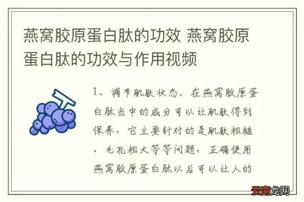 燕窝肽的功效和作用：禁忌与食用方法一览