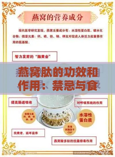 燕窝肽的功效和作用：禁忌与食用方法一览