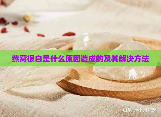 燕窝很白是什么原因造成的及其解决方法