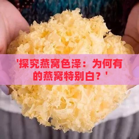 '探究燕窝色泽：为何有的燕窝特别白？'